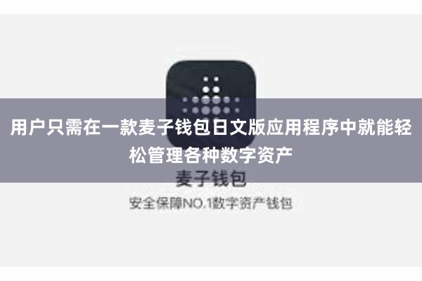 用户只需在一款麦子钱包日文版应用程序中就能轻松管理各种数字资产
