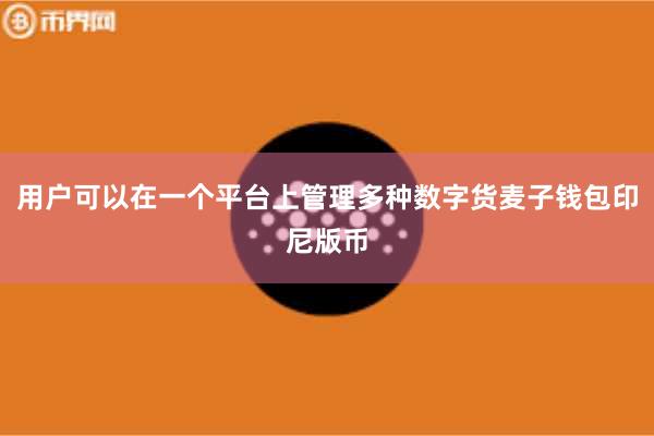 用户可以在一个平台上管理多种数字货麦子钱包印尼版币