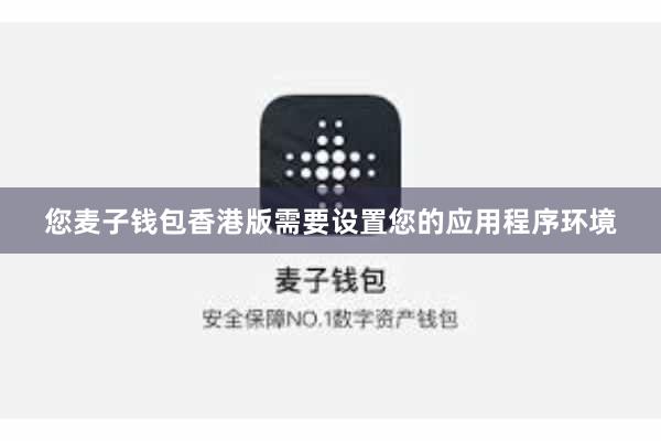 您麦子钱包香港版需要设置您的应用程序环境