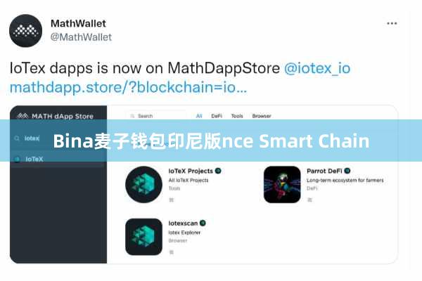 Bina麦子钱包印尼版nce Smart Chain