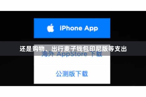 还是购物、出行麦子钱包印尼版等支出