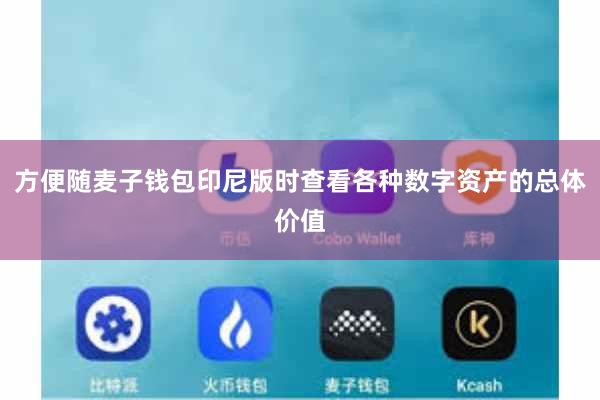 方便随麦子钱包印尼版时查看各种数字资产的总体价值