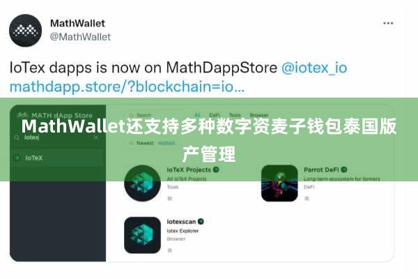 MathWallet还支持多种数字资麦子钱包泰国版产管理